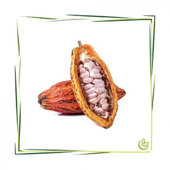 Kakaobutter Pellets 10 kg